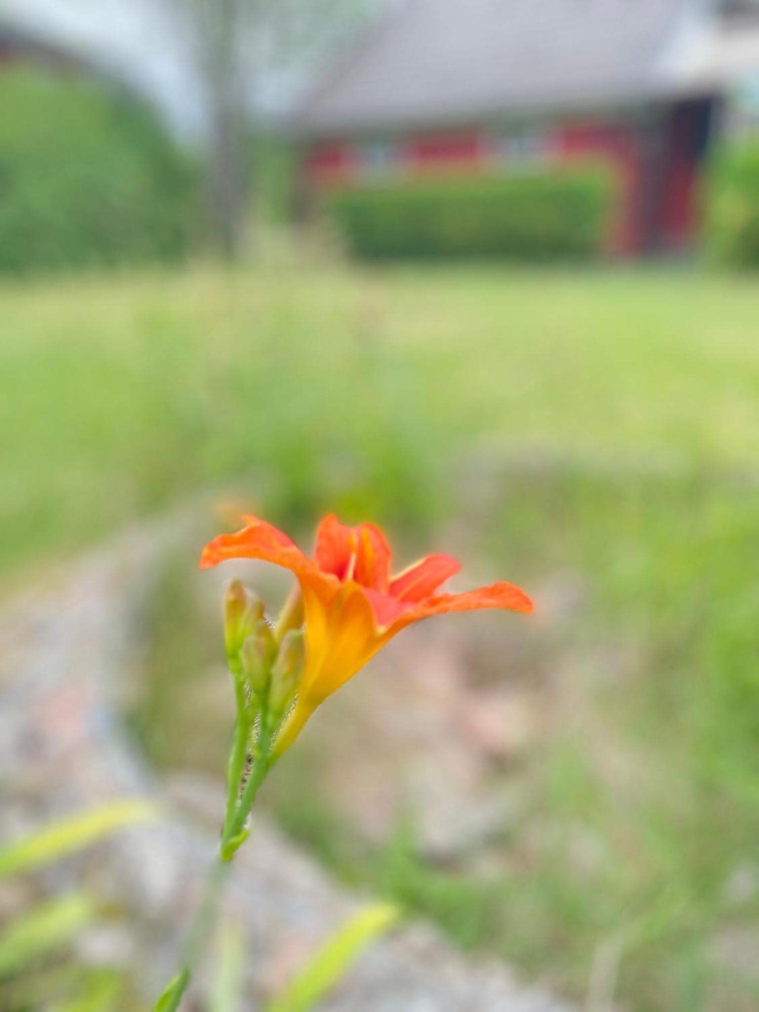 SjotoftaLilla Roeda Huset.别墅 外观 照片